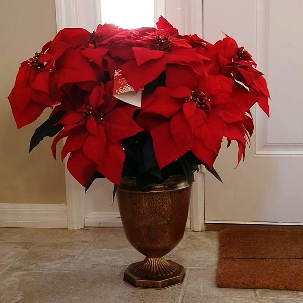 Beautiful Velvet Poinsettia Bouquet‎